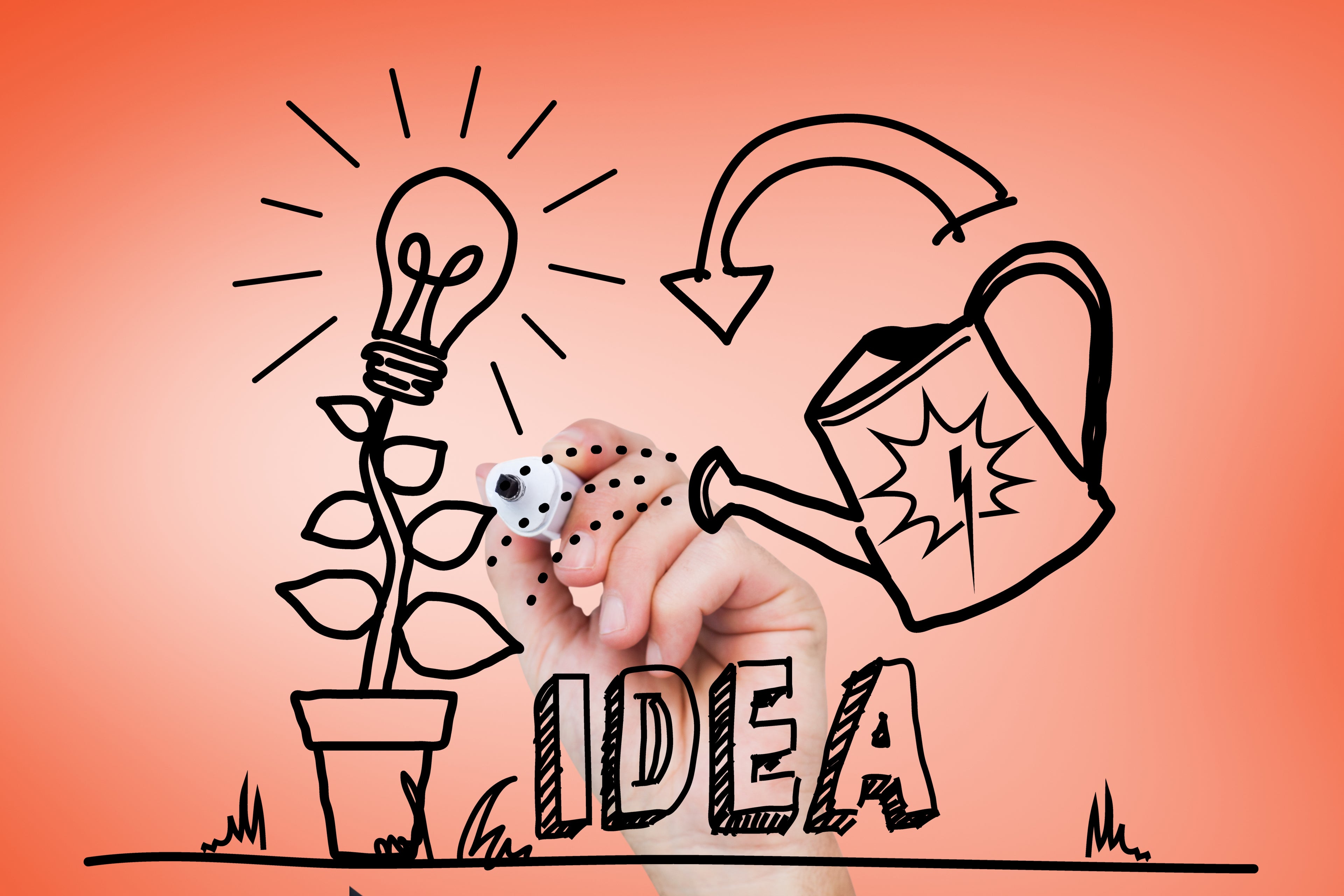 Dall’Idea al Mercato: Business Planning e Accesso al Credito